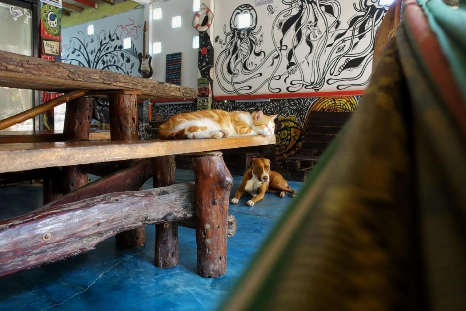 Hotel Casa Surf Mar Azul Palomino Zewnętrze zdjęcie