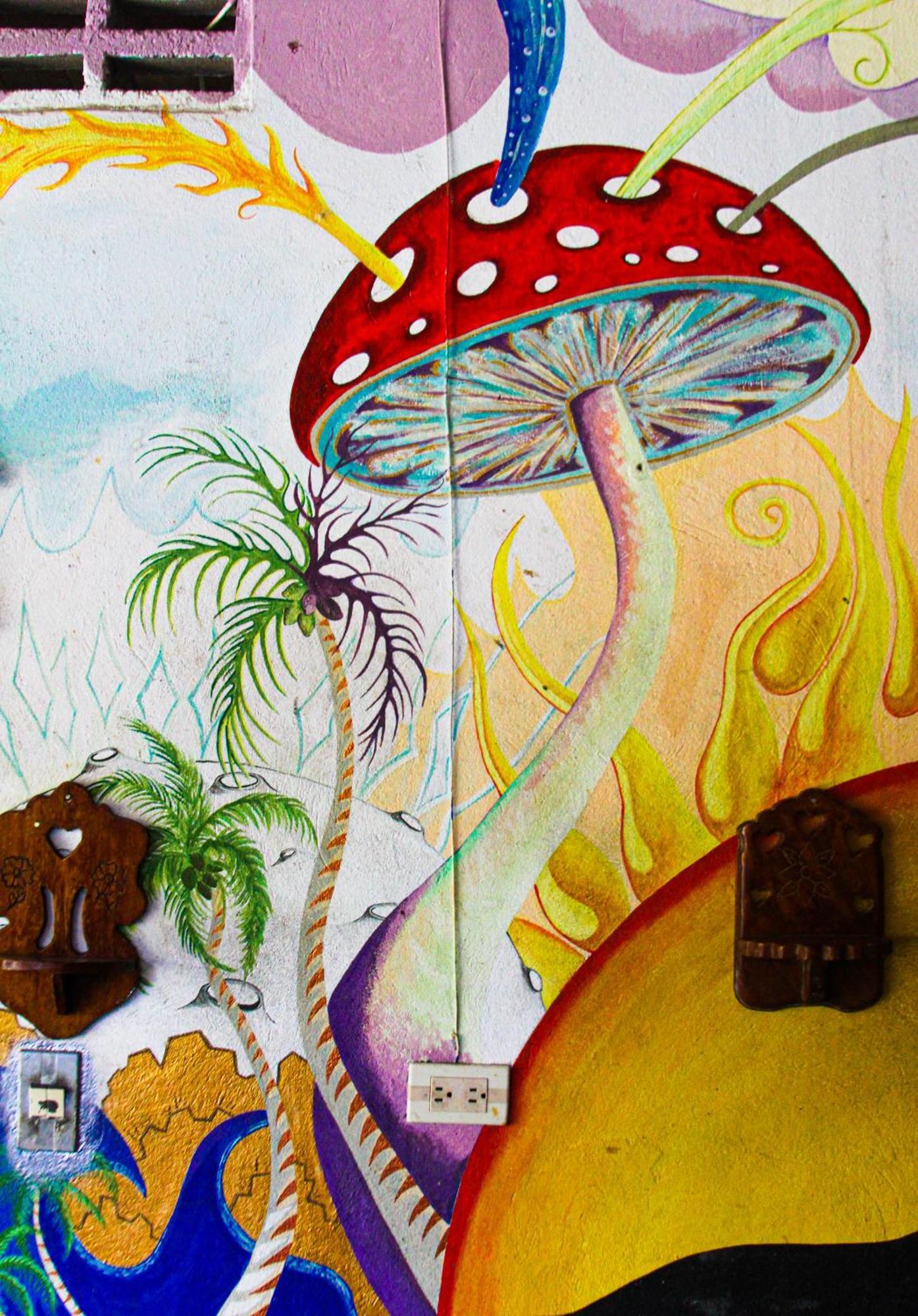 Hotel Casa Surf Mar Azul Palomino Zewnętrze zdjęcie