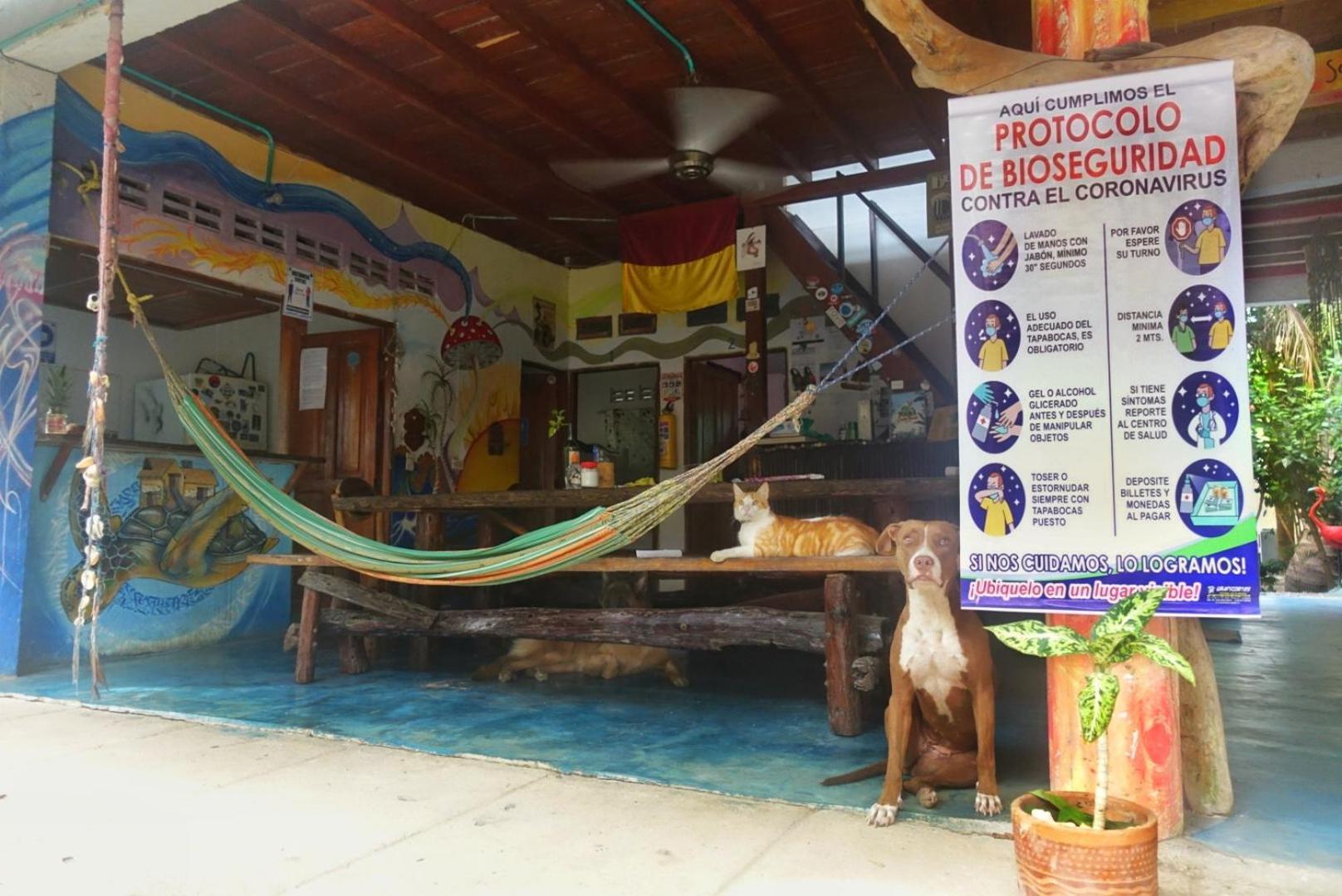 Hotel Casa Surf Mar Azul Palomino Zewnętrze zdjęcie