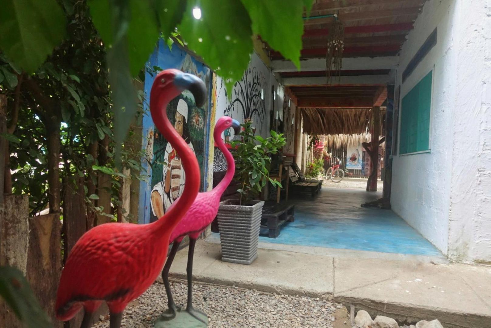 Hotel Casa Surf Mar Azul Palomino Zewnętrze zdjęcie