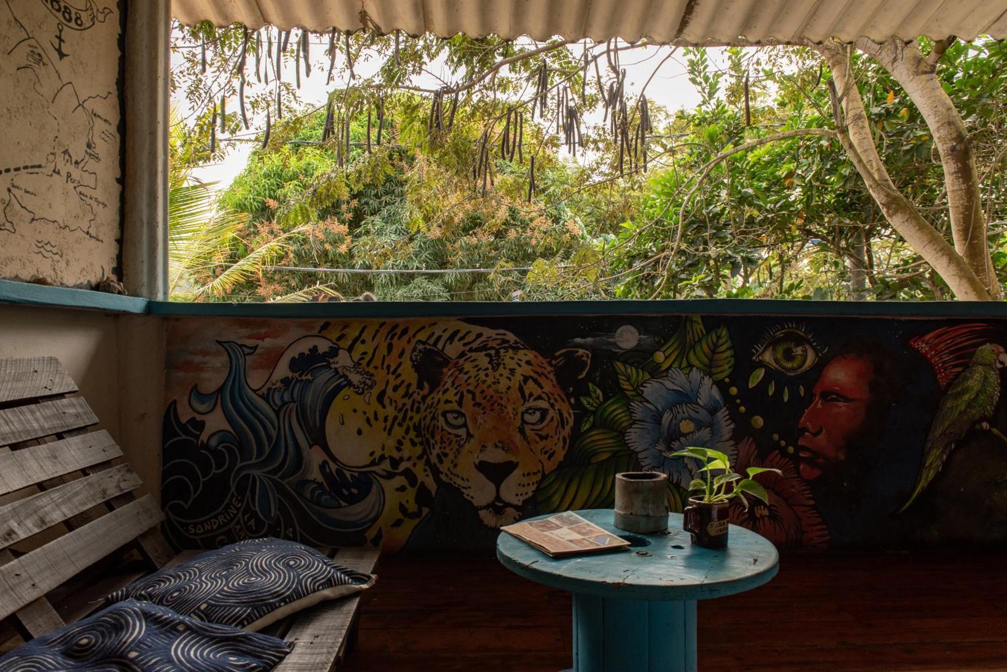 Hotel Casa Surf Mar Azul Palomino Zewnętrze zdjęcie