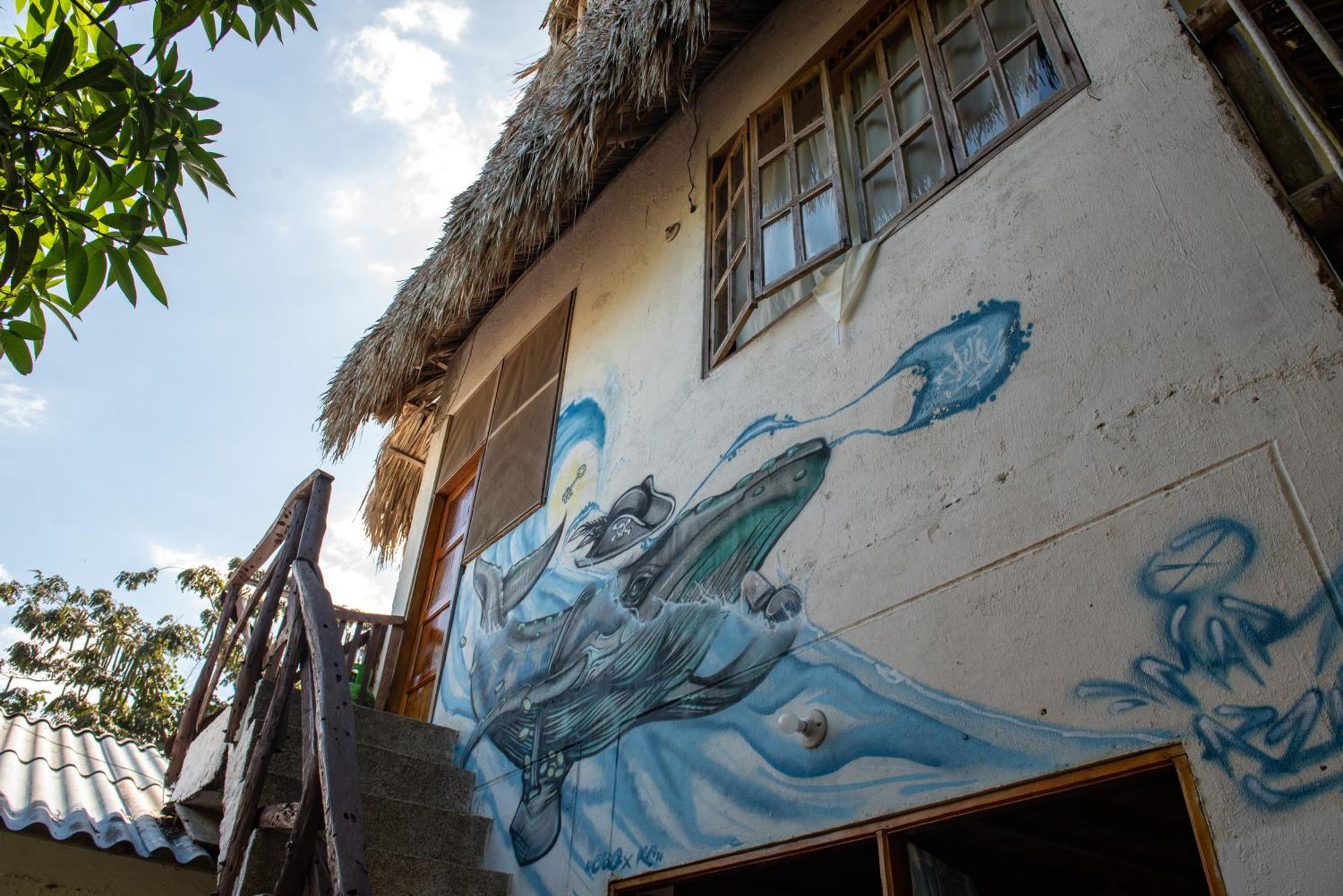 Hotel Casa Surf Mar Azul Palomino Zewnętrze zdjęcie
